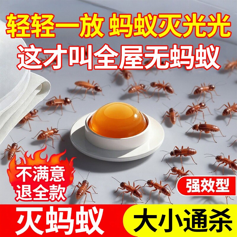 蚂蚁药家用室内强效全窝端旗舰店第一名非无毒呋虫胺诱杀灭蚁饵剂 - 实物图