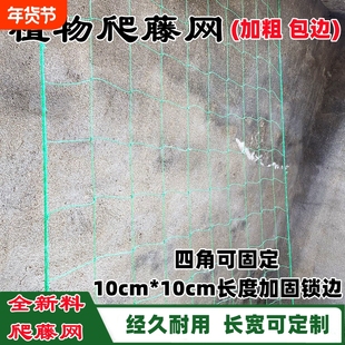 植物爬藤网花卉瓜果丝瓜苦瓜吊瓜葡萄瓜蒌豆角攀爬网百香果爬藤网
