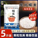 东北白糯米5斤圆粒正宗圆江米粘米粽子新米农家酿酒包粽子专用米