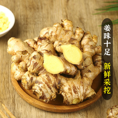 正宗云南小黄姜高山现挖农家新鲜生姜月子姜老姜批发5斤九斤包邮