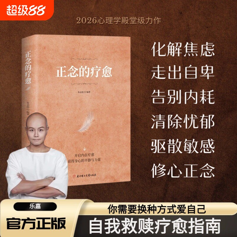 抖音同款正念的疗愈对抗焦虑的指南乐嘉禅修入门减压疗法恢复内心宁静开启内在获得身心的平静力量心灵正版书籍心理学自我情绪心法