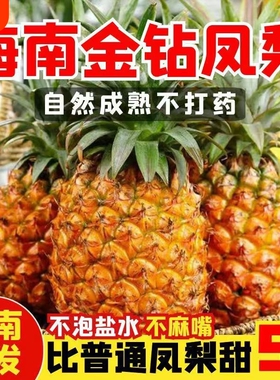 海南金钻凤梨新鲜水果10斤当季粉色风梨香水菠萝特产大果无眼整箱