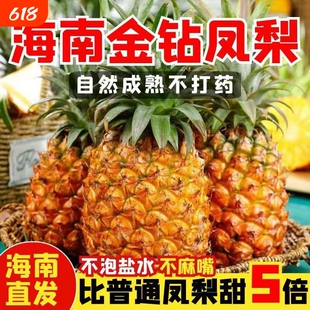 海南金钻凤梨新鲜水果10斤当季粉色风梨香水菠萝特产大果无眼整箱