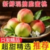 山西运城水蜜桃净重4.5斤