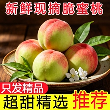 山西运城水蜜桃净重4.5斤