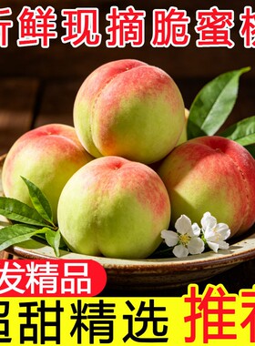 水蜜桃毛桃正宗桃子新鲜当季孕妇水果现摘鲜桃脆桃蜜桃整箱包邮