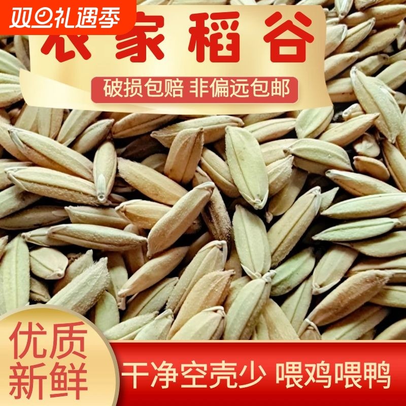 农家水稻谷子带壳大米新稻谷喂鸡鸭鹅仓鼠鸽鸟宠物饲料酿酒杂粮食