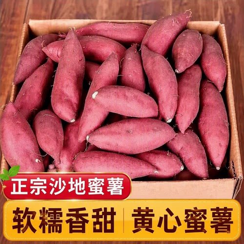 蜜薯新鲜红薯农家香甜黄心