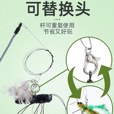afp昆虫逗猫棒猫玩具自嗨解闷神器耐咬替换头宠物小猫咪用品大全