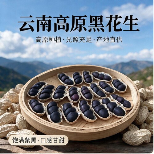 富硒黑花生带壳2026云南普洱特产晒干生熟花生米七彩年货黑皮新货