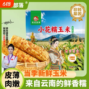 3斤云南西双版纳香糯花糯小玉米新鲜拇指手指东北甜糯即食玉米棒