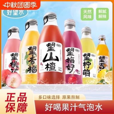 好望水望山楂气泡水果味饮料望柠檬梅好碳酸饮料解腻好喝送礼正品