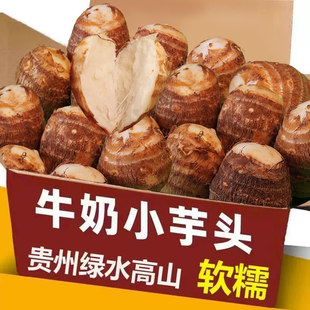贵州牛奶小芋头新鲜蔬菜粉糯毛芋头当季 芋艿香芋农家软糯非云南槟