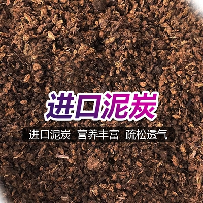 通用型进口泥炭营养土精筛土