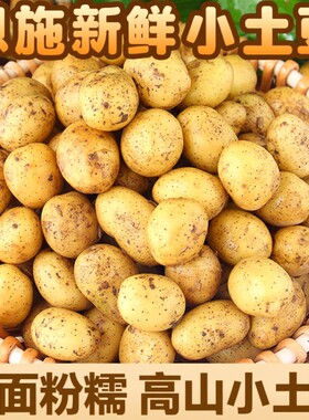 恩施小土豆新鲜马铃薯正宗黄心