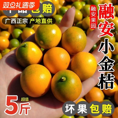 广西融安脆皮小金桔新鲜桔子当季水果蜜金柑桔纯甜孕妇整箱5斤