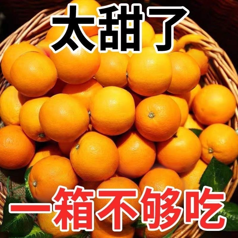 湖南麻阳冰糖橙当季新鲜水果手剥甜橙子爆甜多汁批发包邮5/9斤
