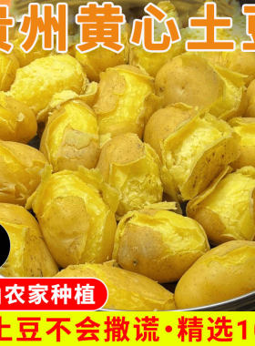 正宗贵州高山新鲜土豆威宁洋芋