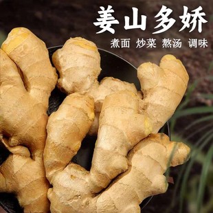 贵州农家大姜老姜 生姜无残留新鲜大块姜老黄姜月子姜精选水洗