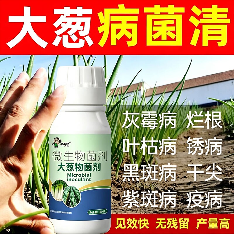 大葱病菌清卫士杀菌剂白斑病小葱香葱干尖黄叶枯萎黑斑软腐无机肥图片