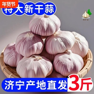 【大甩卖】新干蒜紫皮大蒜新鲜大蒜头红皮大蒜批发优质蒜子便宜