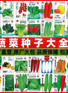 蔬菜种子大全四季播种耐热果蔬籽