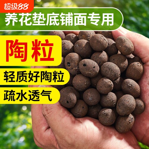 陶粒垫底养花专用多肉盆栽
