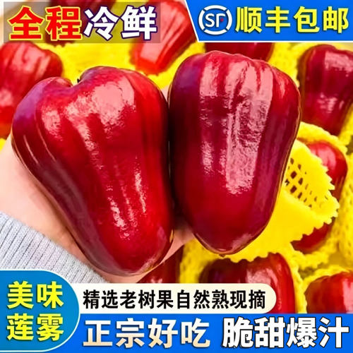 顺丰海南莲雾新鲜水果热带黑金刚莲雾果孕妇补水仙女果一整箱包邮