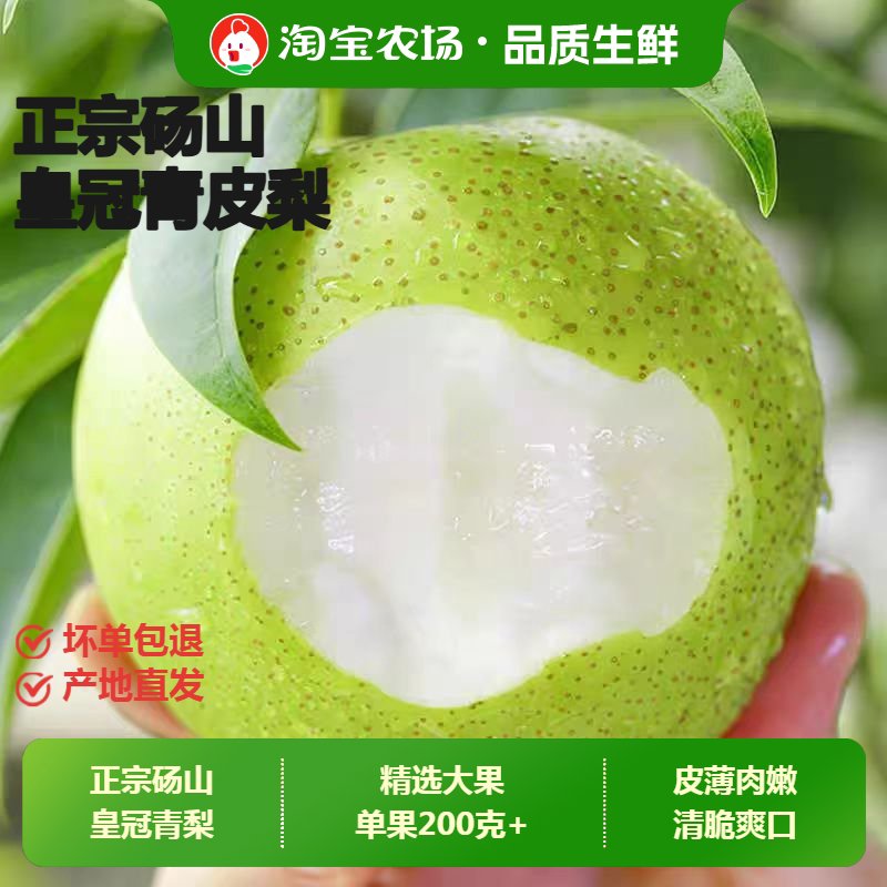 正宗皇冠青梨当季新鲜水果现摘薄皮梨子脆甜包邮青皮农场大果直发图片