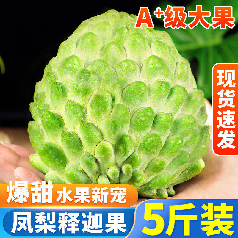 礼盒新鲜凤梨释迦水果当季番荔枝佛头果,水产肉类/新鲜蔬果/熟食,番荔枝/释迦,淘宝优惠券,粉丝福利购,淘宝优惠卷