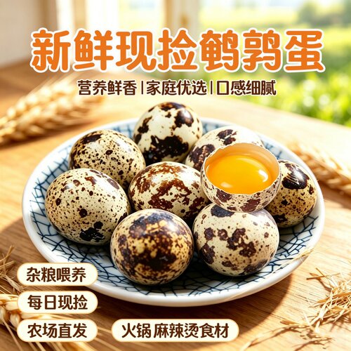 新鲜食材生鹌鹑蛋农家特产自产杂粮散养鲜香细腻泡沫纸箱发货食用