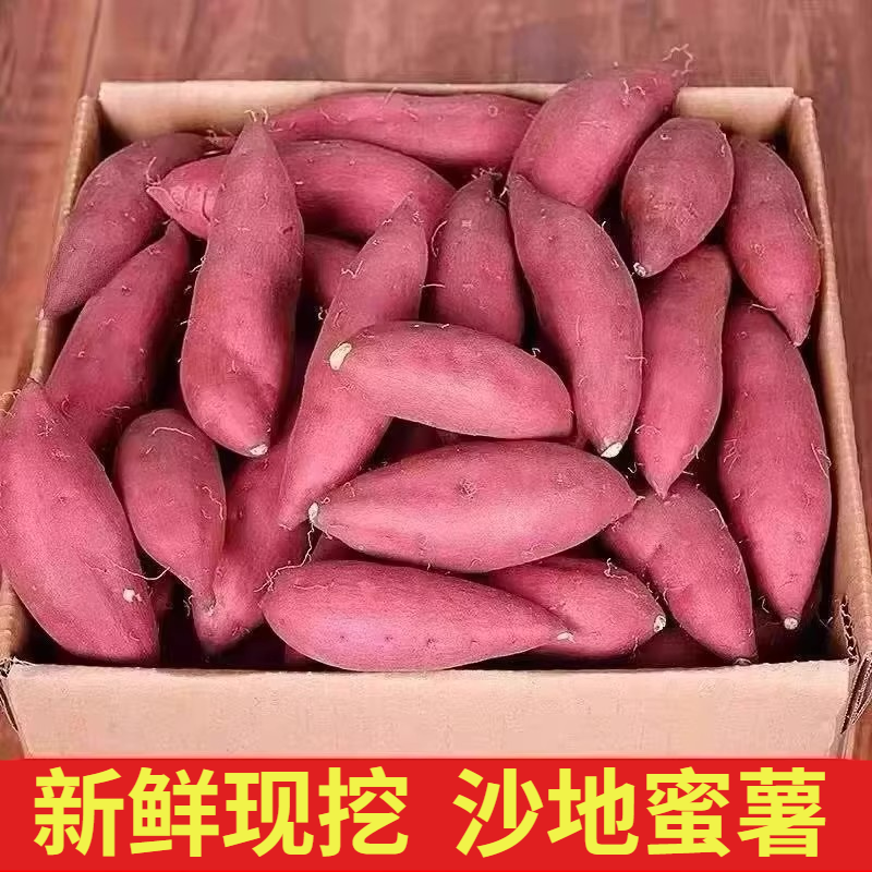 沙地龙九蜜薯红薯新鲜9斤番薯农家现挖烤地瓜山芋红薯自种黄心