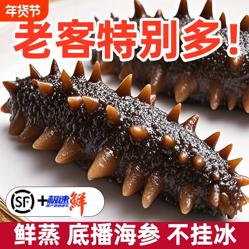 鲜蒸海参即食大连辽参刺参鲜活特价装非干货水产冷冻滋补顺丰包邮
