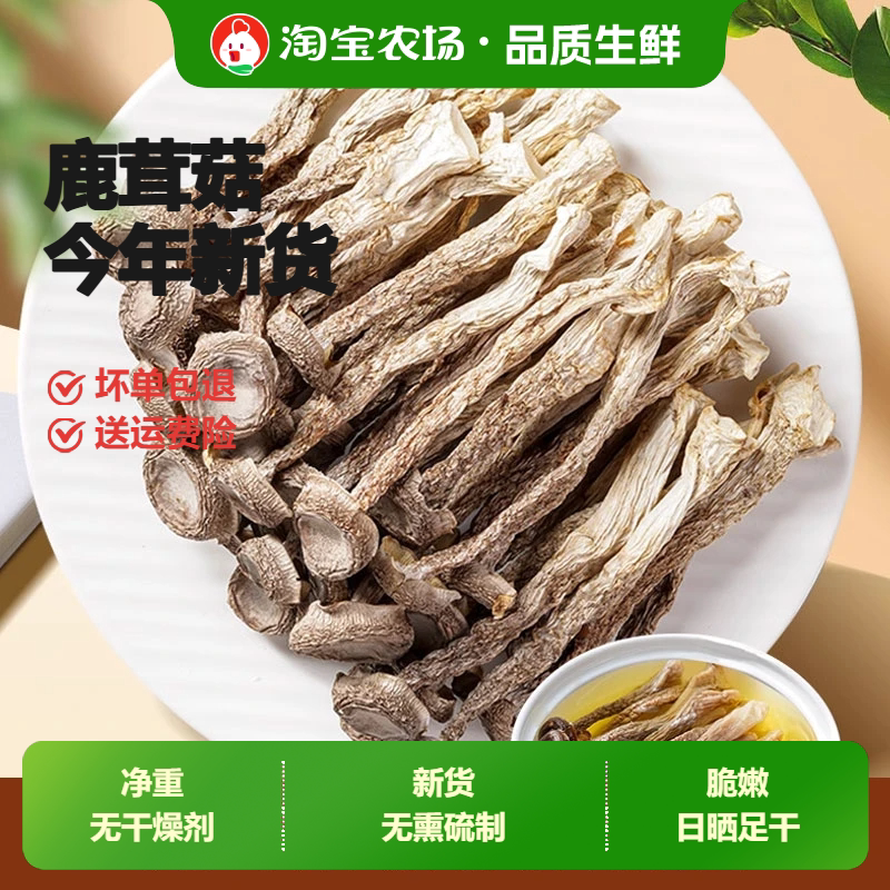 高山鹿茸菇干货500g无疏炖煲鸡汤营养美味香菇煲汤礼品新鲜佳品