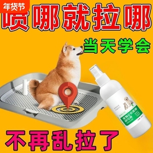 狗狗厕所定点宠物排便诱导剂大小便大全训练定位拉屎宠物引导专用