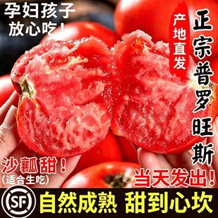 陕西赛普罗旺斯口感沙瓤西红柿新鲜自然熟当季礼盒水果番茄蔬菜