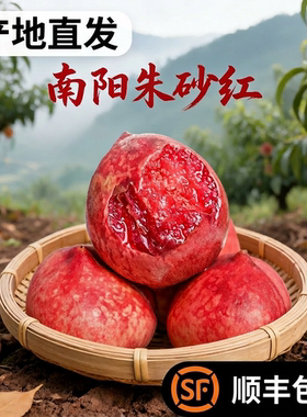 南阳朱砂红桃子猪血红胭脂红肉新鲜血桃水果蜜桃老树红心桃子正宗