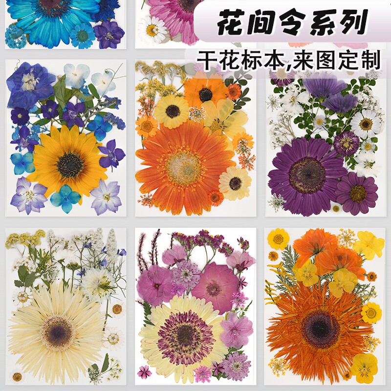 干花压花植物标本手工diy材料包滴胶手机壳相框装饰画押花贴纸