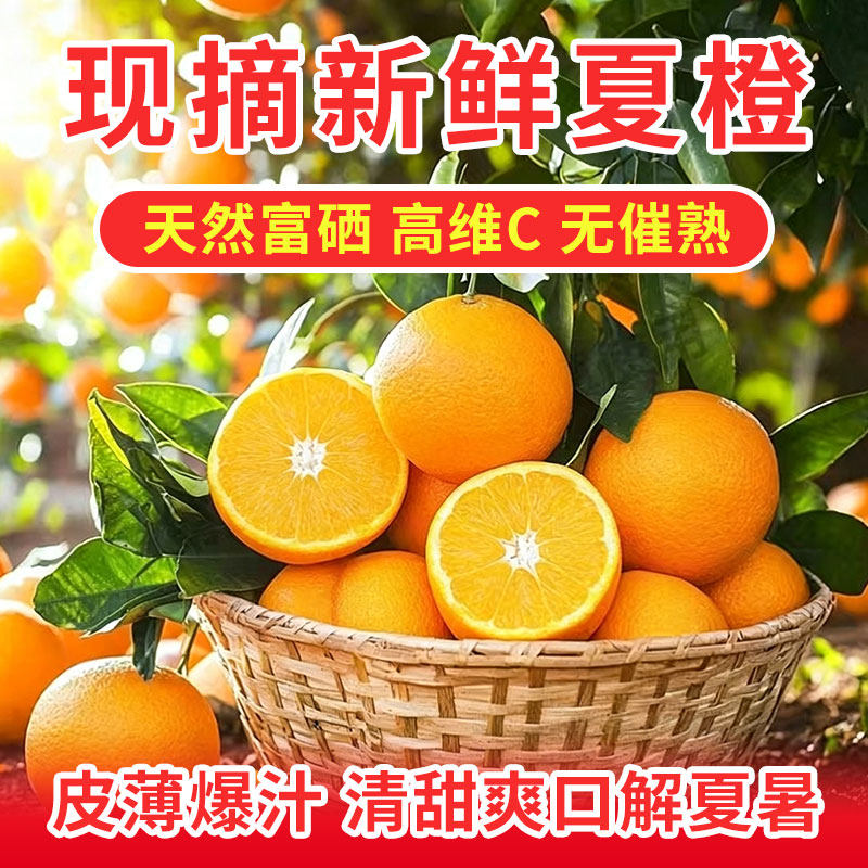 正宗秭归夏橙水果新鲜当季10斤橙冰糖果冻脐橙甜橙子专果整箱榨汁