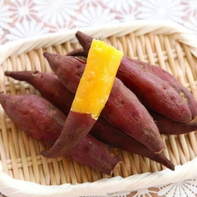 正宗天目农家板栗番薯