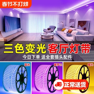 客厅家用灯带led灯条变色220V户外防水rgb超亮灯三色变光吊顶白光