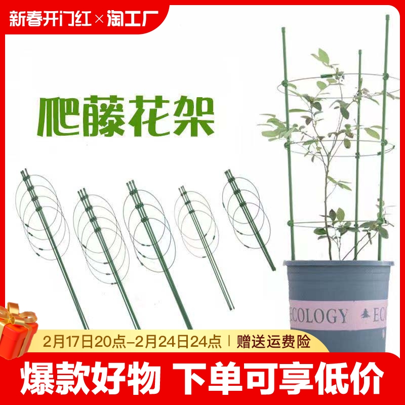园艺爬藤花架支柱架阳台绿萝月季铁线莲藤本植物攀爬支撑杆客厅