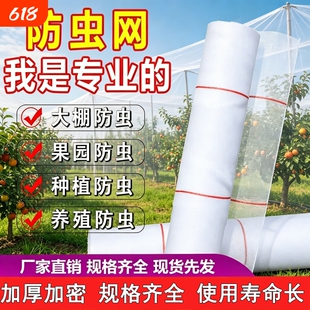 防虫网农用蔬菜大棚加厚防虫纱网养殖场专用防蝇网养猪场防蚊纱网