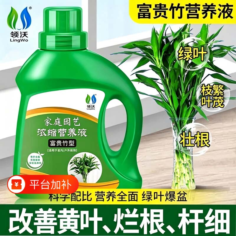 富贵竹营养液专用肥治黄叶促生根转运竹观音竹水培植物通用液体肥