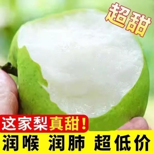 梨子新鲜包邮砀山青梨9斤皇冠梨水果翠冠梨蜜早雪梨整箱当季青皮