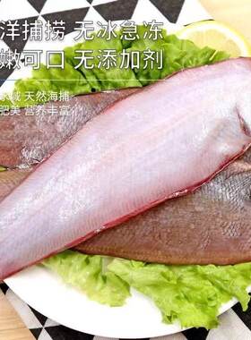 冰鲜龙利鱼鱼肉新鲜大口鱼海味鱼味美野生舌头鱼冷冻水产踏板鱼
