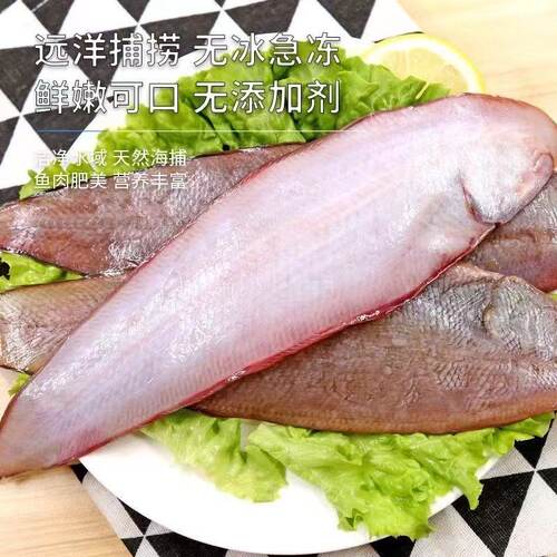 冰鲜龙利鱼鱼肉新鲜大口鱼海味鱼味美野生舌头鱼冷冻水产踏板鱼