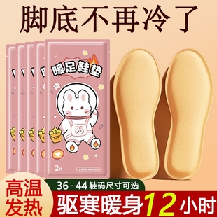 发热鞋 12自加热脚底持久暖身益母草 垫女自发热暖足贴男暖脚宝冬季