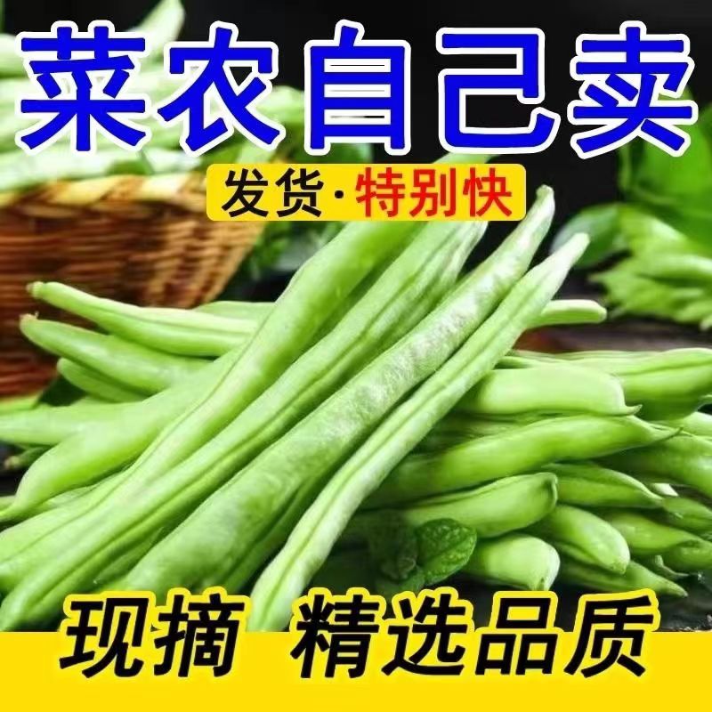 四季豆新鲜现摘云南农家露天种植