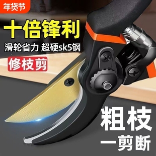 剪树枝剪刀专用花剪园艺园林修枝园丁剪嫁接强力采摘省力修水果树